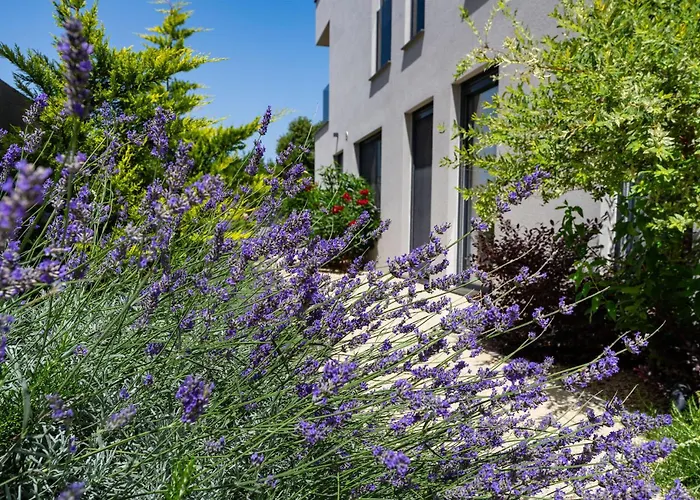 Awesome In With Wifi Nyaraló *